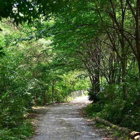 Haneulbit Gwangang Nongwon Otel Chuncheon Dış mekan fotoğraf