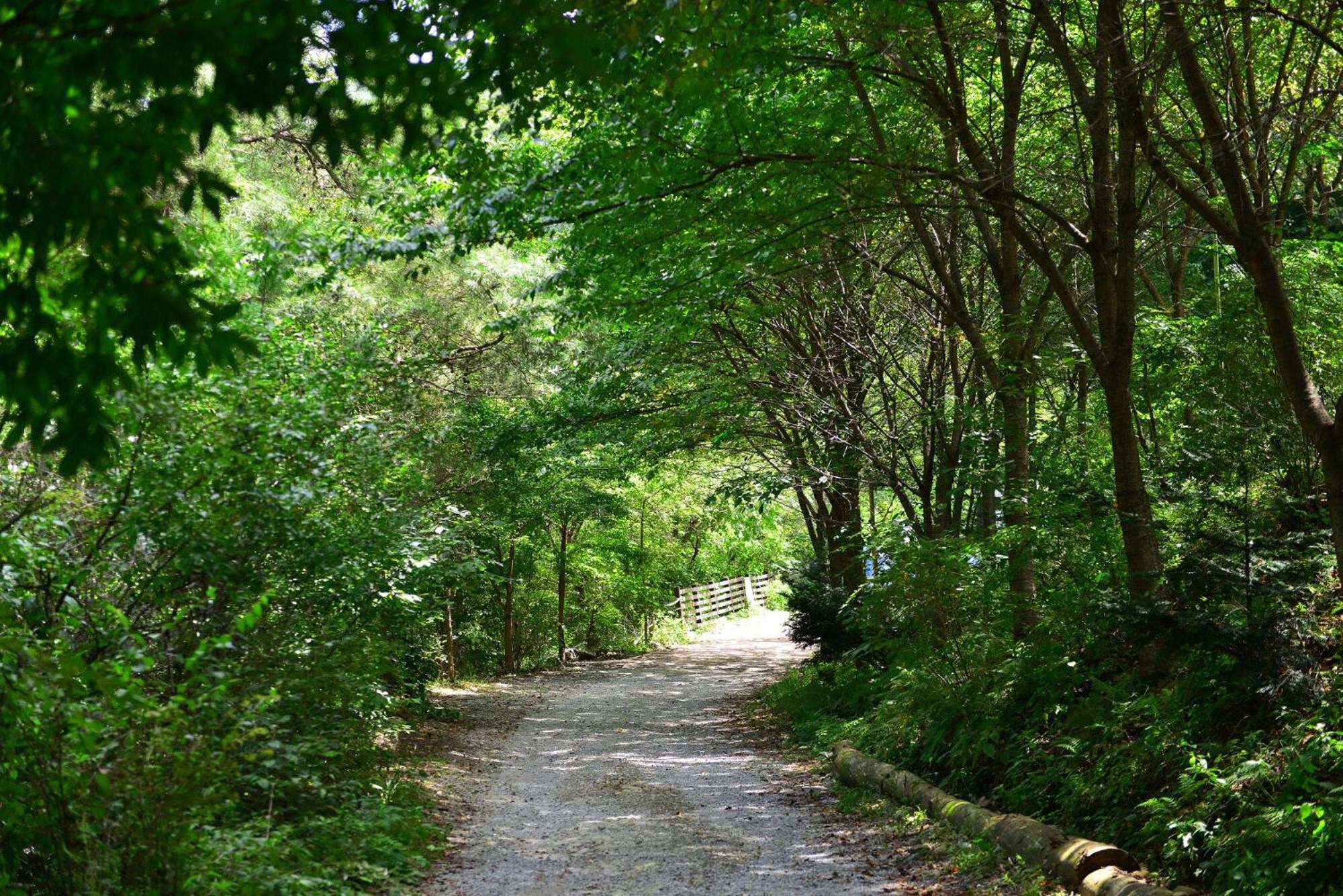 Haneulbit Gwangang Nongwon Otel Chuncheon Dış mekan fotoğraf